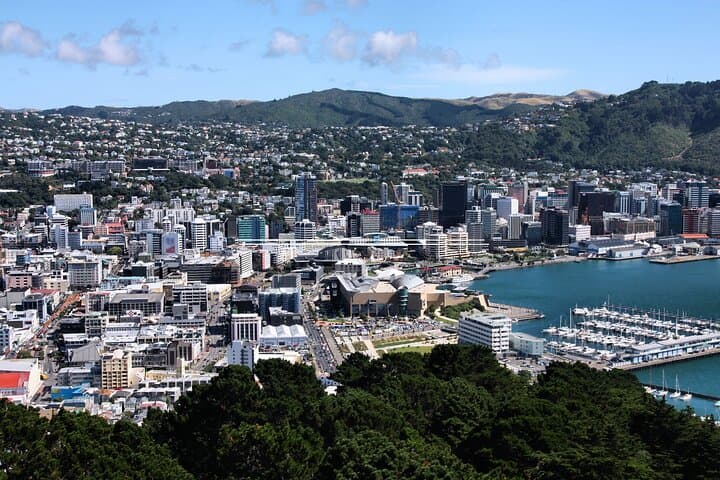 Private Wellington Walking Tour with a Local Guide — Custom City Walks