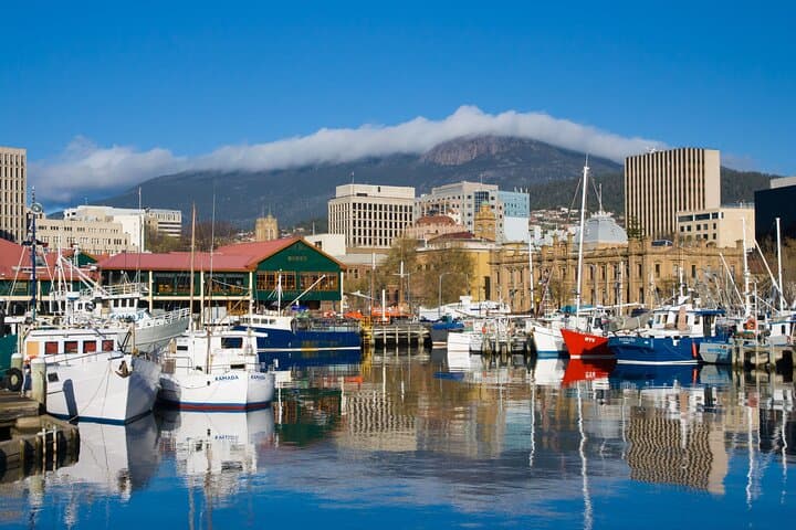 Private Wellington Walking Tour with a Local Guide — Custom City Walks photo 2