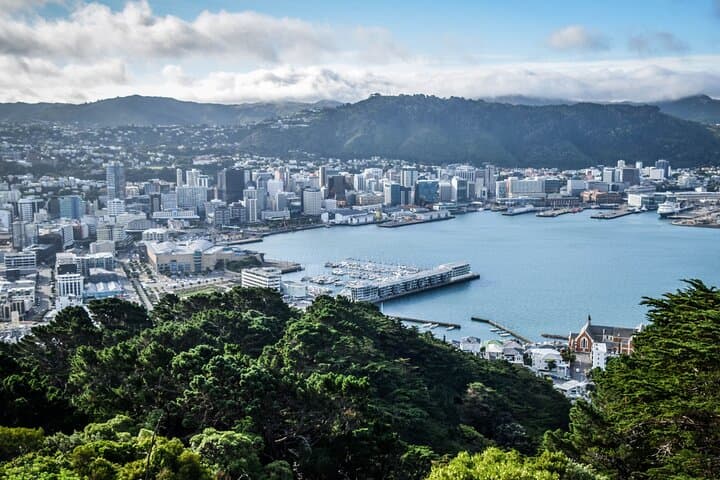 Private Wellington Walking Tour with a Local Guide — Custom City Walks photo 4
