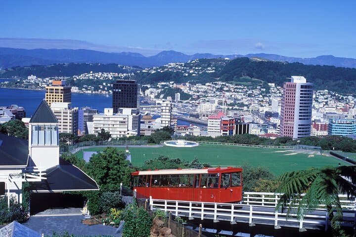 Private Wellington Walking Tour with a Local Guide — Custom City Walks photo 5