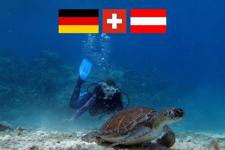 Introductory Scuba Diving in Protaras — Small-Group Green Bay Dive