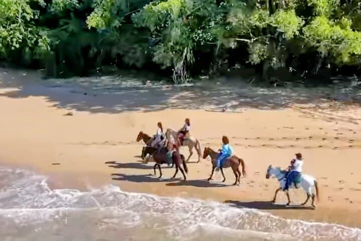 Horseback to Teco Beach & Puerto Plata City Tour