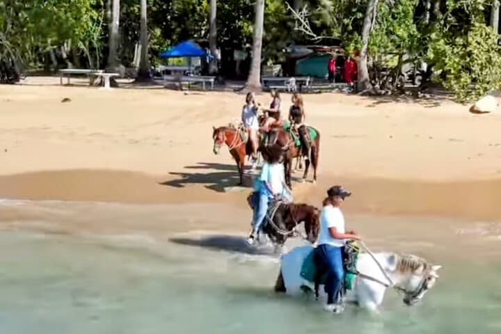 Horseback to Teco Beach & Puerto Plata City Tour photo 5