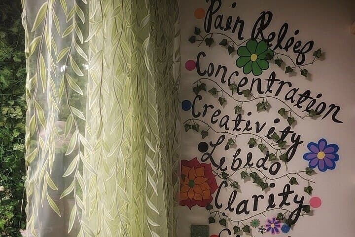Private Fungi and Plant Wellness Workshop in Washington DC photo 2