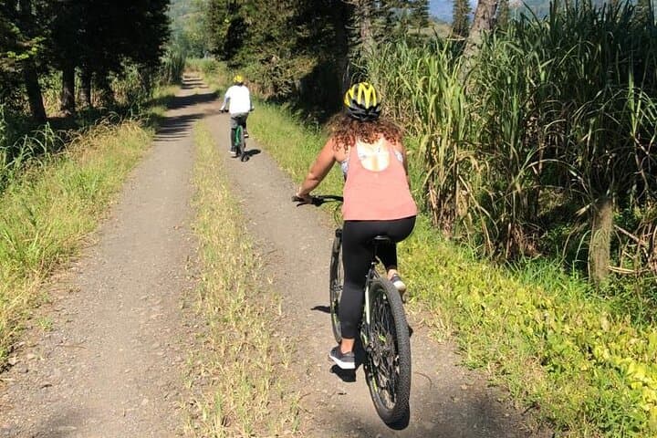 Explore Costa Rica’s Country Circuit: 4-Hour Mountain Biking Adventure from Turrialba