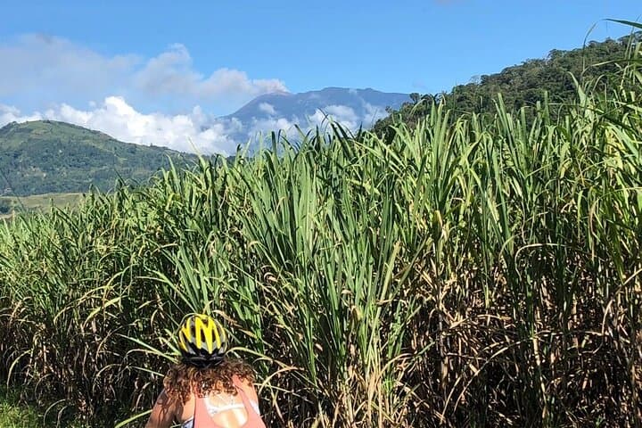 Explore Costa Rica’s Country Circuit: 4-Hour Mountain Biking Adventure from Turrialba photo 4