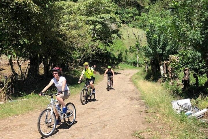 Explore Costa Rica’s Country Circuit: 4-Hour Mountain Biking Adventure from Turrialba photo 5