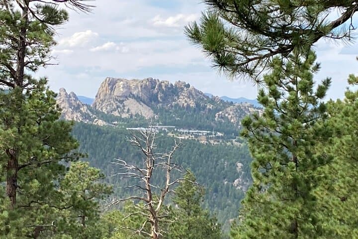 Black Hills Day Tour: Mount Rushmore, Crazy Horse, and Custer State Park photo 6