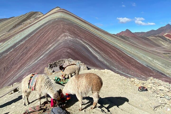 Rainbow Mountain Trek from Cusco: Vinicunca Day Hike to the 5,000m Stripes photo 6