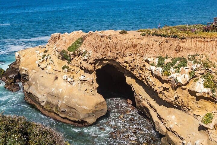 La Jolla Cove Walking Tour: Sea Lions, Sandstone Cliffs & Local Ice Cream photo 2