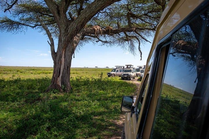 3-Day Group Safari: Serengeti & Ngorongoro Camping Adventure photo 1