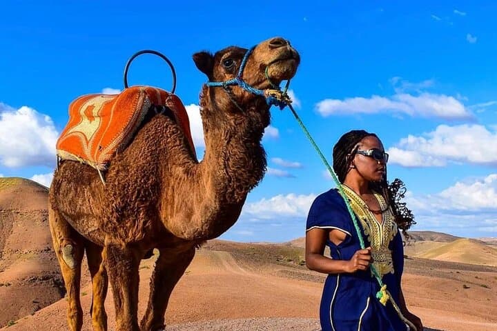 Atlas Mountain Zip Line, Waterfalls & Berber Villages — Day Trip from Marrakech photo 5