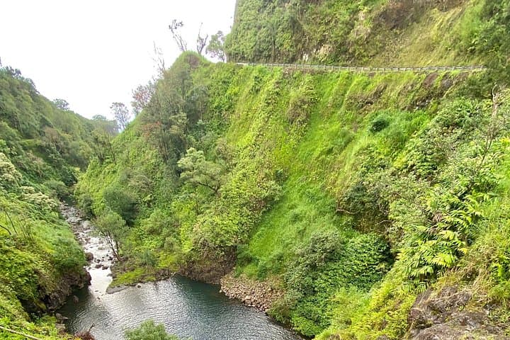 Private Road to Hana: Full-Day Luxury Tour from Kahului photo 3