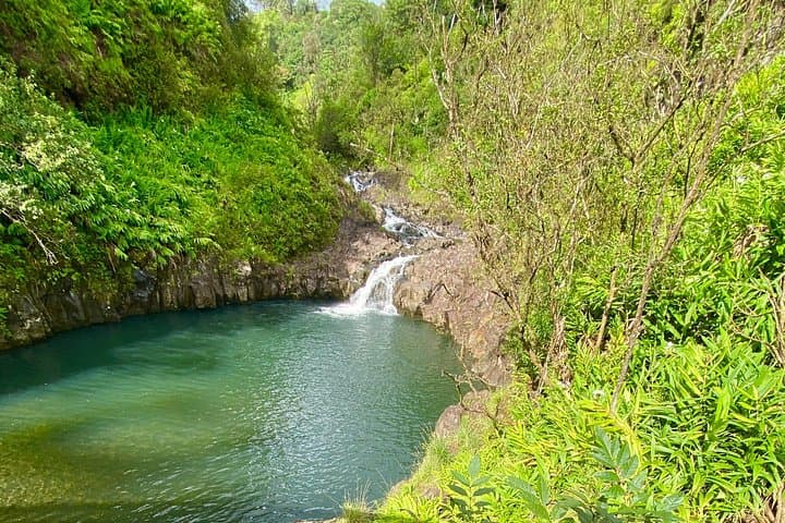 Private Road to Hana: Full-Day Luxury Tour from Kahului photo 4