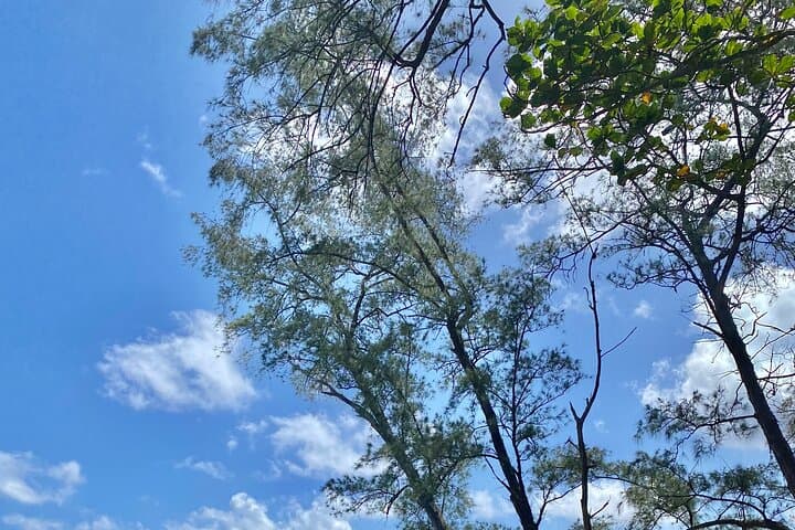 Private Road to Hana: Full-Day Luxury Tour from Kahului photo 5