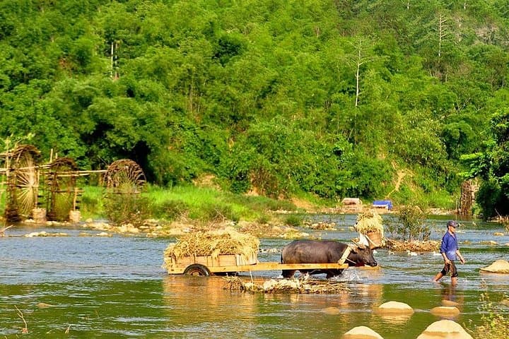 3-Day Off-Road Trekking in Pu Luong Nature Reserve from Hanoi photo 3