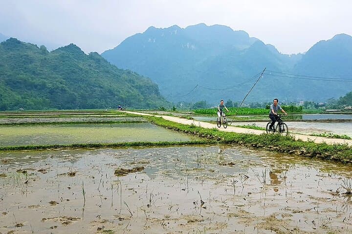 Full-Day Off-Road Trekking in Pu Luong Nature Reserve — Optional Biking Through Rice Terraces