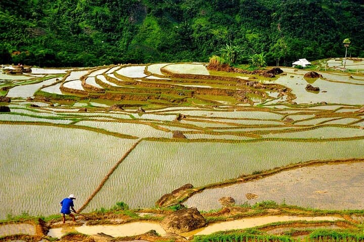 Offbeat Pu Luong Trek: 2-Day Nature Reserve Adventure from Hanoi photo 2