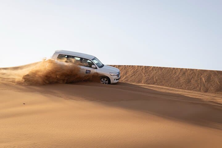 Dubai Red Dunes Half-Day Safari: Dune Bashing, Sandboarding, Camel & Falcon Experience photo 2