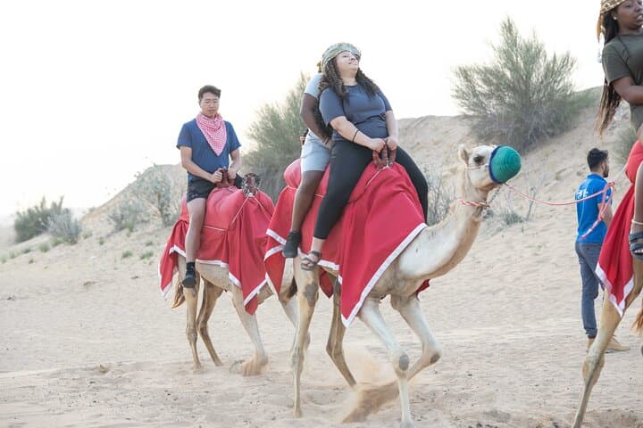 Dubai Red Dunes Half-Day Safari: Dune Bashing, Sandboarding, Camel & Falcon Experience photo 5
