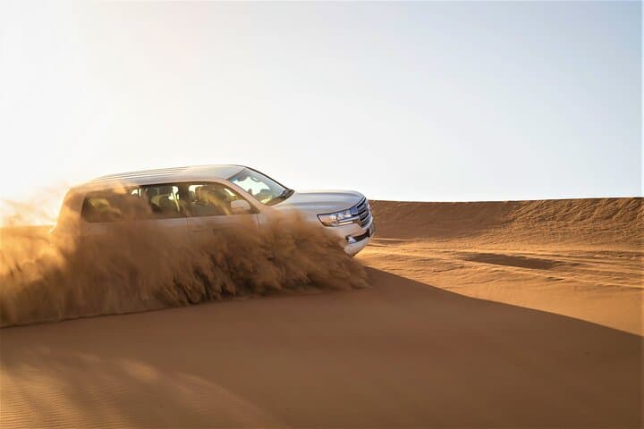 Dubai Red Dunes Half-Day Safari: Dune Bashing, Sandboarding, Camel & Falcon Experience photo 6