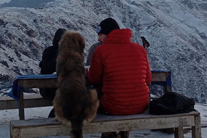 Mardi Himal Trek 4N-5D — Teahouse Trek to Mardi Base Camp from Pokhara photo 4
