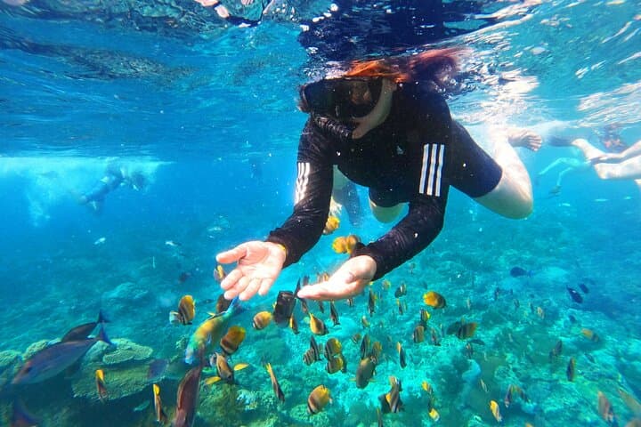 Nusa Penida Island Tour with Snorkeling: Mantas, Cliffs & Crystal Bays photo 5