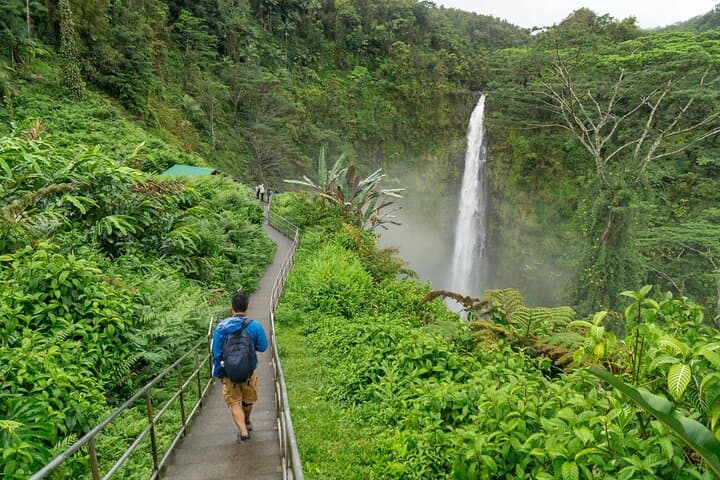 Hilo Highlights: Private Tour of Waterfalls, Black Sand & Lava Caves