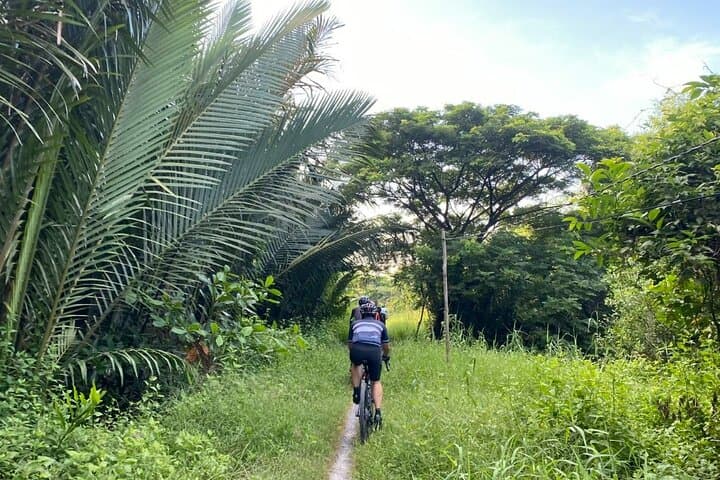 Saigon Countryside Cycling Adventure: Mekong Delta Day Tour from Ho Chi Minh City photo 4