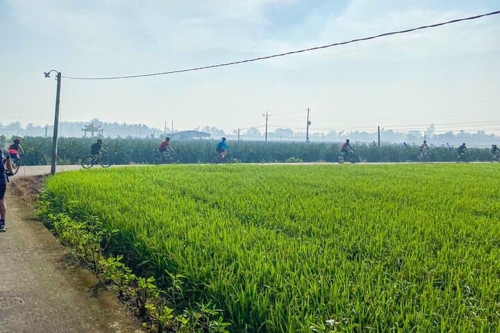 Saigon Countryside Cycling Adventure: Mekong Delta Day Tour from Ho Chi Minh City photo 6