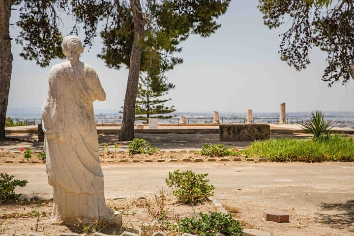 Coastal Carthage: Private 3-Hour Walking Tour of Archaeological Sites