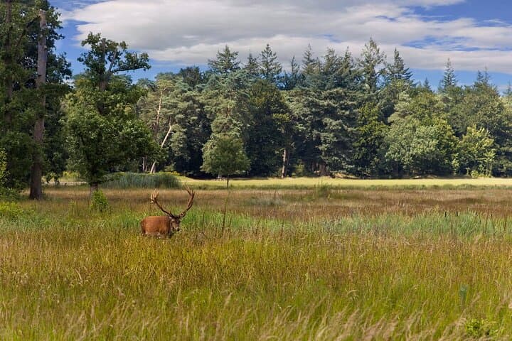 Veluwe National Park & Kröller‑Müller Museum Private Tour from Amsterdam photo 2