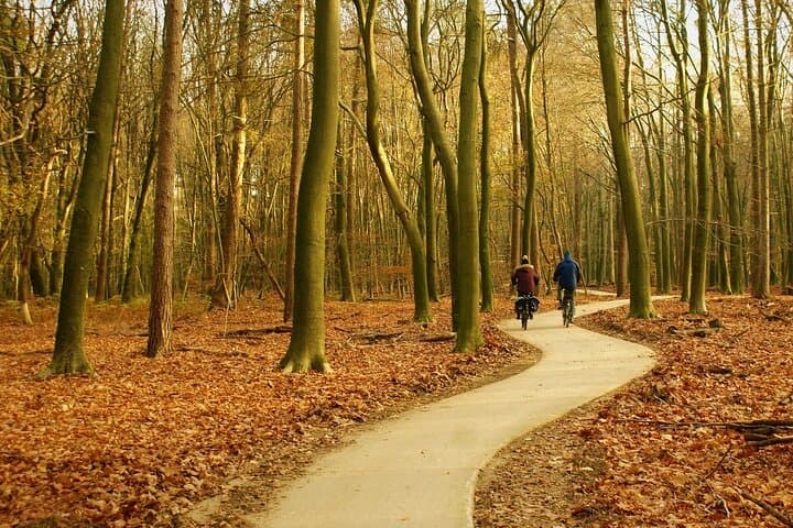 Veluwe National Park & Kröller‑Müller Museum Private Tour from Amsterdam photo 4