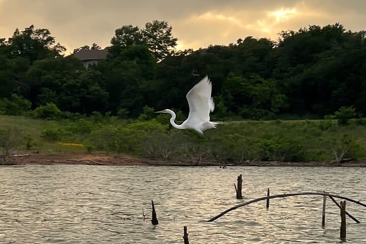 Sunset & Glow Kayaking on Grapevine Lake — Guided LED Night Paddle photo 4
