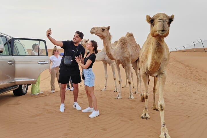 Lehbab Private Morning Desert Safari: Sunrise Dune Bashing & Camel Farm Visit photo 3