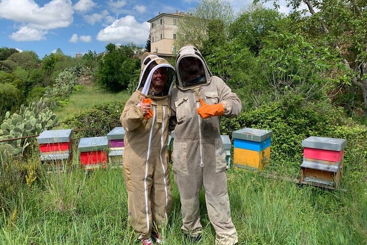 From Hive to Jar: Beekeeping Experience and Honey Tasting near Rome photo 3