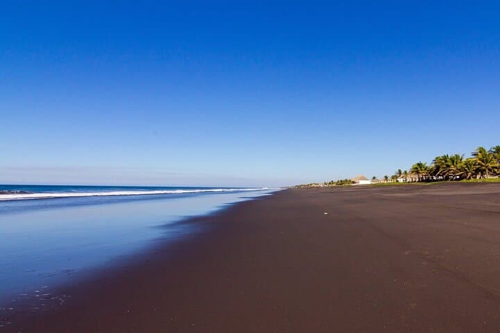 Monterrico Mangroves & Birdwatching: Boat Tour from Puerto Quetzal photo 2