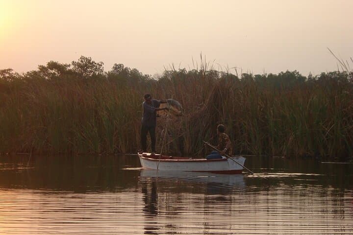 Monterrico Mangroves & Birdwatching: Boat Tour from Puerto Quetzal photo 3