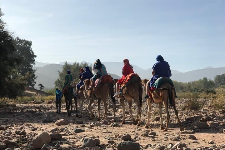 Sunset Camel Ride & Berber Dinner in Agafay Desert from Marrakech