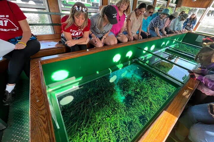Silver Springs Glass-Bottom Boat & Kayak Day Trip from Orlando photo 6