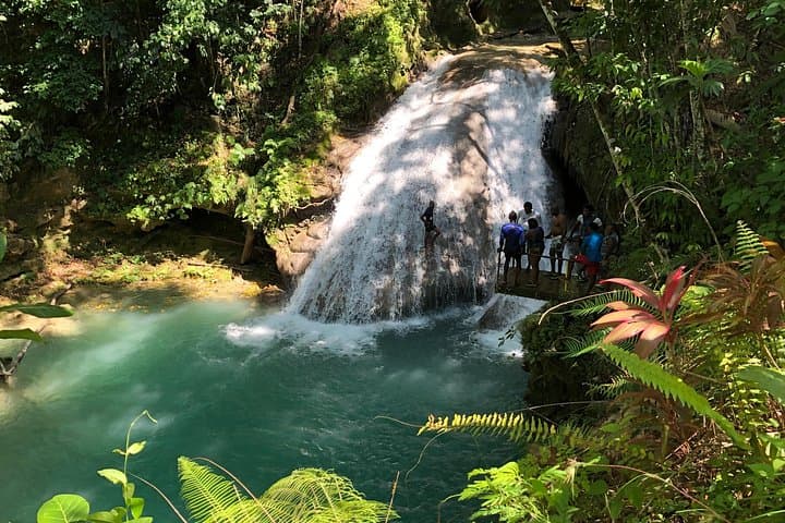 Climb Dunn's River Falls and Swim the Blue Hole: Private Tour from Montego Bay photo 1
