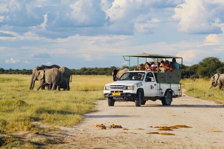 Etosha National Park Day Safari with Local Guides — Big Five Hotspots photo 4