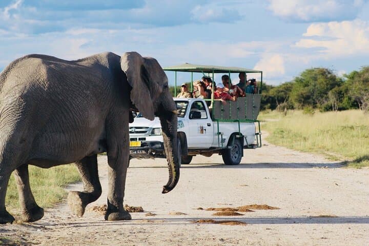 Etosha National Park Day Safari with Local Guides — Big Five Hotspots photo 1