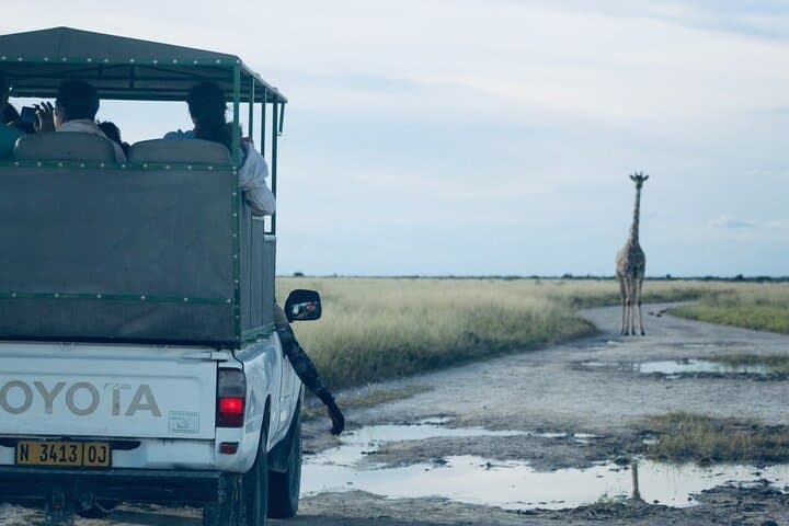 Etosha National Park Day Safari with Local Guides — Big Five Hotspots photo 2