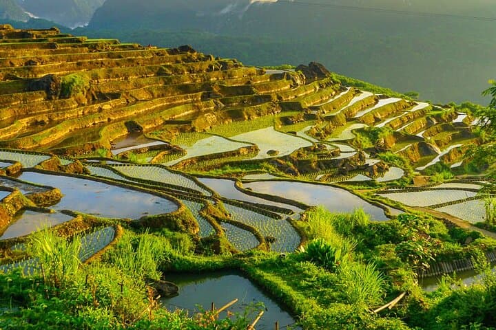 Offbeat Pu Luong Trek: 2-Day Nature Reserve Adventure from Hanoi photo 3