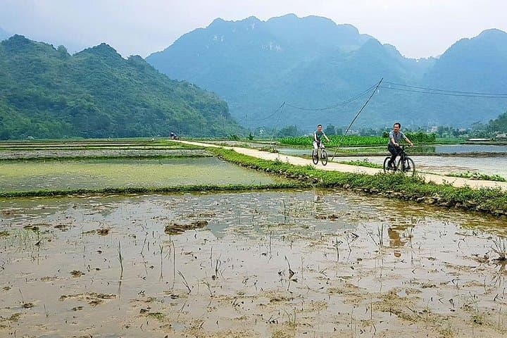 Off-Road Trekking in Pu Luong Nature Reserve: 3-Day Adventure from Hanoi photo 3