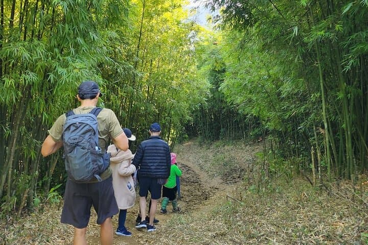 Hidden Bamboo Forest Trek in Sapa: Private 5-6 Hour Cultural Hike