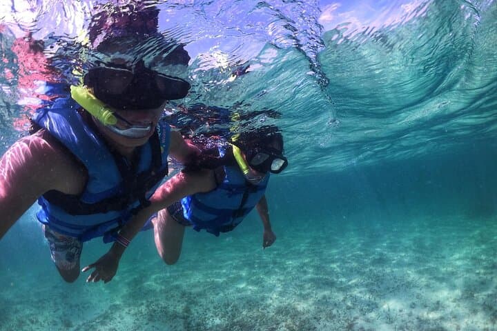 Drive the Nichupté: Mangrove Jungle Tour and Punta Nizuc Snorkel photo 2