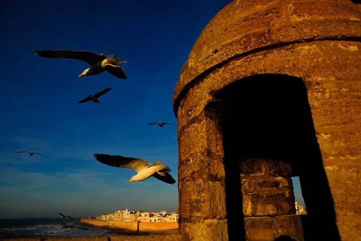 Coastal Charms: Private Day Trip from Marrakech to Essaouira photo 2