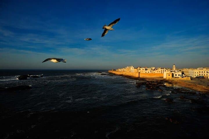 Coastal Charms: Private Day Trip from Marrakech to Essaouira photo 3